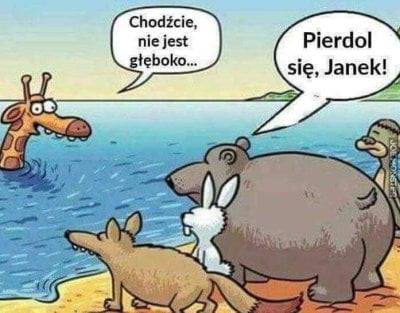 żyrafa.jpg